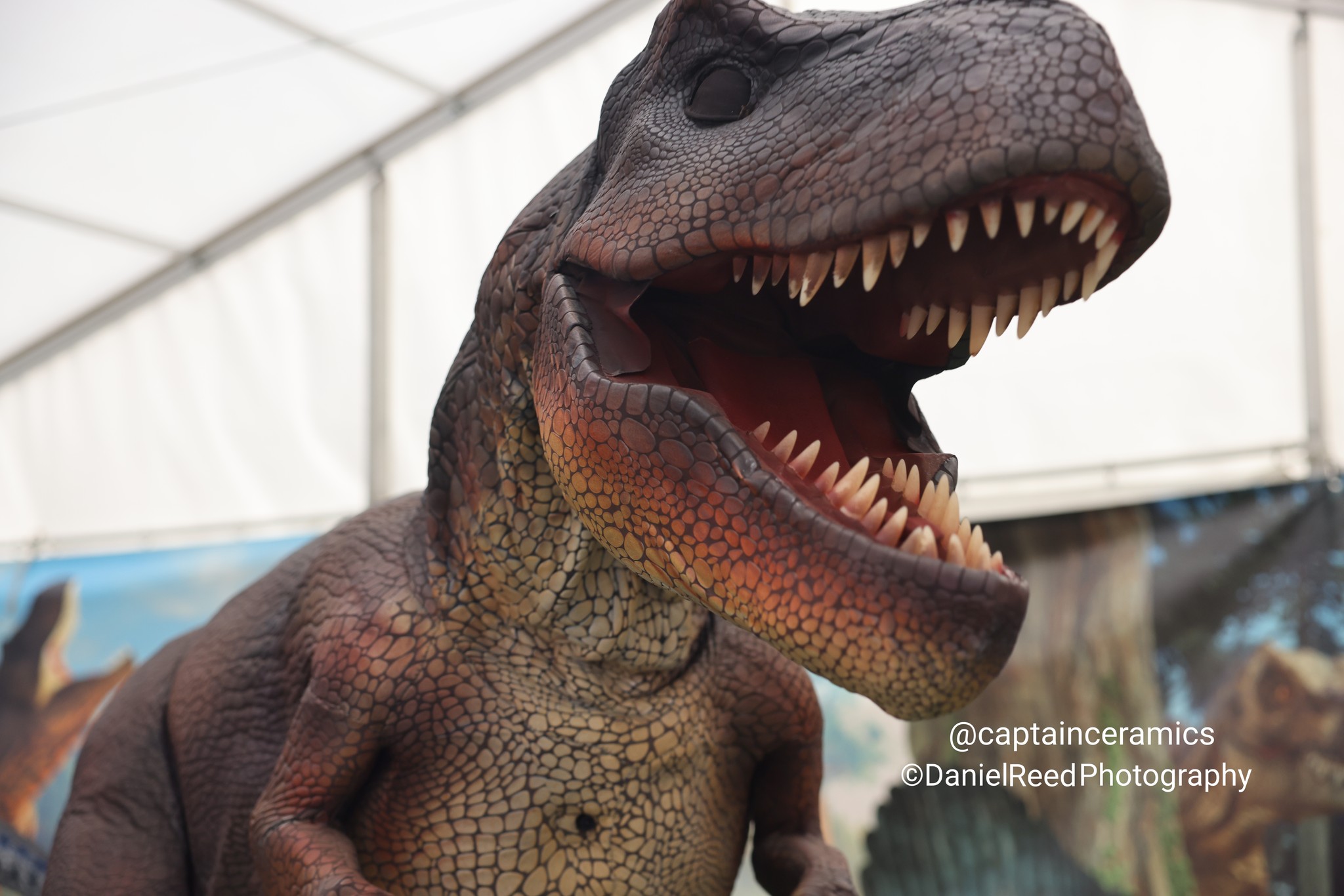 Photos at Invasion Colchester